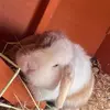 harveybond967 - @harveybond08 - TikTok