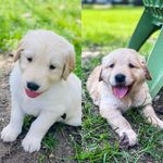 Booker and Harvey - @bookerandharvey - Instagram