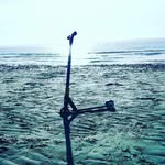 Harvey - @harvey_bowers_ - Instagram