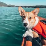 Harvey Burcham - @burchamharvey - Instagram