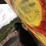 Harvey™ - @harvey_burt - Instagram