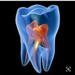 Harvey Castillo - @harvey.dental.studio - Instagram
