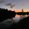 Harvey - @harvey.collins1 - TikTok