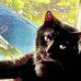 Harvey Craft - Facebook