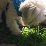 Crump - @harvey_crump - Instagram