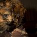 Harvey Crump - Facebook