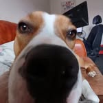 Harvey Crumpton - @harveycrumpton6 - Instagram