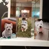 Harveydaniel74 - @harveydaniel74 - TikTok