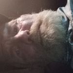 Willie Harvey dewitt - @willieharveydewitt - Instagram