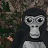 Harvey Dolan - @shadow_vrs - TikTok