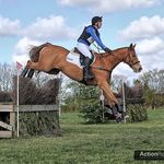 Harvey Douglas Eventing - @harveydouglas_eventing - Instagram