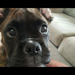 harvey duncan - @harveyduncan6 - Instagram