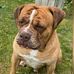 Harvey Duncan - Facebook