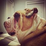 Harvey Duncan - @sirharveyduncan - Instagram