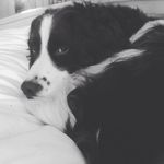 Harvey and Floyd - @__harvey__floyd__ - Instagram