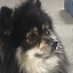 harvey - @harveyfrankland - Instagram