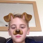 harvey is best friend - @taylor_gorge__ - Instagram