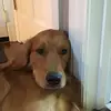 harvey_yourfriend - @harvey_yourfriend - TikTok