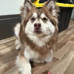 Bobby Harvey Hamilton - @bobby_harvey_hamilton - Instagram