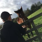 Harvey Hamilton - @harvey_hamilton123456 - Instagram