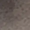 Harveyhamilton - @harveyhamiltonfff - TikTok