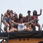 Harvey - @hammered.harvey - Instagram