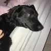 Harvey - @hammerharvey - TikTok