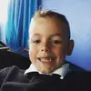 harveythehammer - @harveythehammer - TikTok