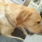 Harvey Hammond - @harveyhammond70 - Instagram