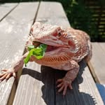 Harvey Hancock - @harveyhancock20 - Instagram