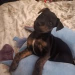 harvey hancock - @harvey__hancock - Instagram