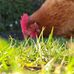 Harvey Harrison - Facebook