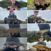 harveyharrison11 - @harveyharrison11 - TikTok