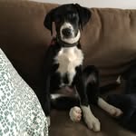 Harvey Herman - @harvey_herman - Instagram
