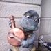Harvey Hunt - Facebook