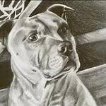 Harvey Hunt - @harvey.hunt.5680 - Instagram