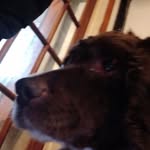 Harvey Hunt - @harveyhunt21 - Instagram