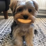 Harvey Hunt - @harveyhunt77 - Instagram