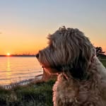 Harvey Hunter-steer - @harvey._hunter - Instagram