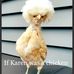 Harvey Kessler - Facebook