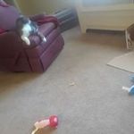 Harvey Kessler - @harvey.kessler.16 - Instagram