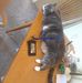 Harvey Kessler - Facebook