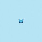 🦋Harvey Knight🦋 - @harvey__knight - Instagram