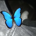 Harvey Knight - @harvey_knight005 - Instagram