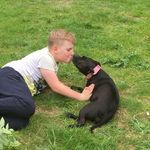 Harvey Knight - @harvey_knight11 - Instagram