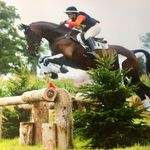 Harvey-Knight Eventing - @jackieharveyknight - Instagram