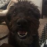 Harvey Knox - @_harveyknox - Instagram