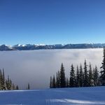 Harvey Bellanger - @bellangerharvey - Instagram