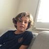 Harry - @harry.lieberman - TikTok