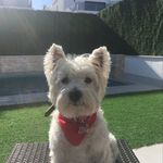 Harvey Lloyd - @harveylloyd20 - Instagram